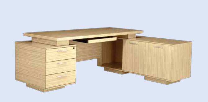 Ascent from Sidharth Enterprises