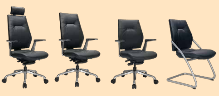 Sedna from Sidharth Enterprises