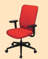 Versa Cushion from Sidharth Enterprises
